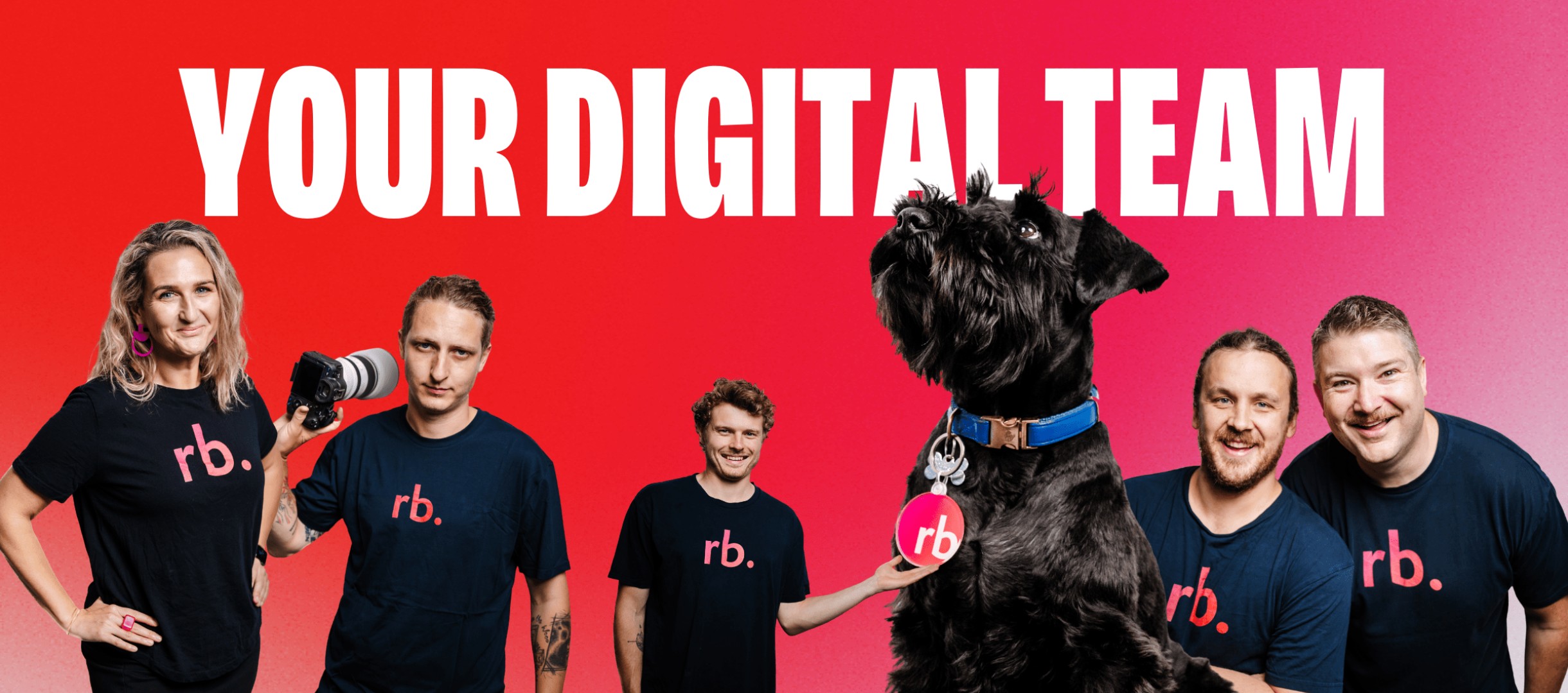 Redback Solutions cover image